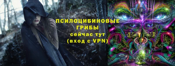 твердый Белокуриха